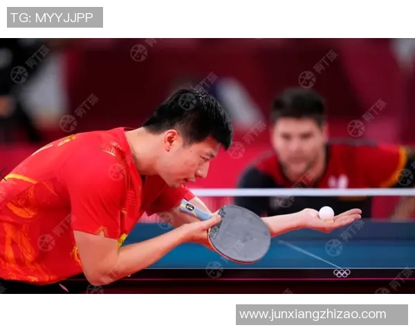 南京排球队的拼搏之路与大满贯荣耀的背后故事